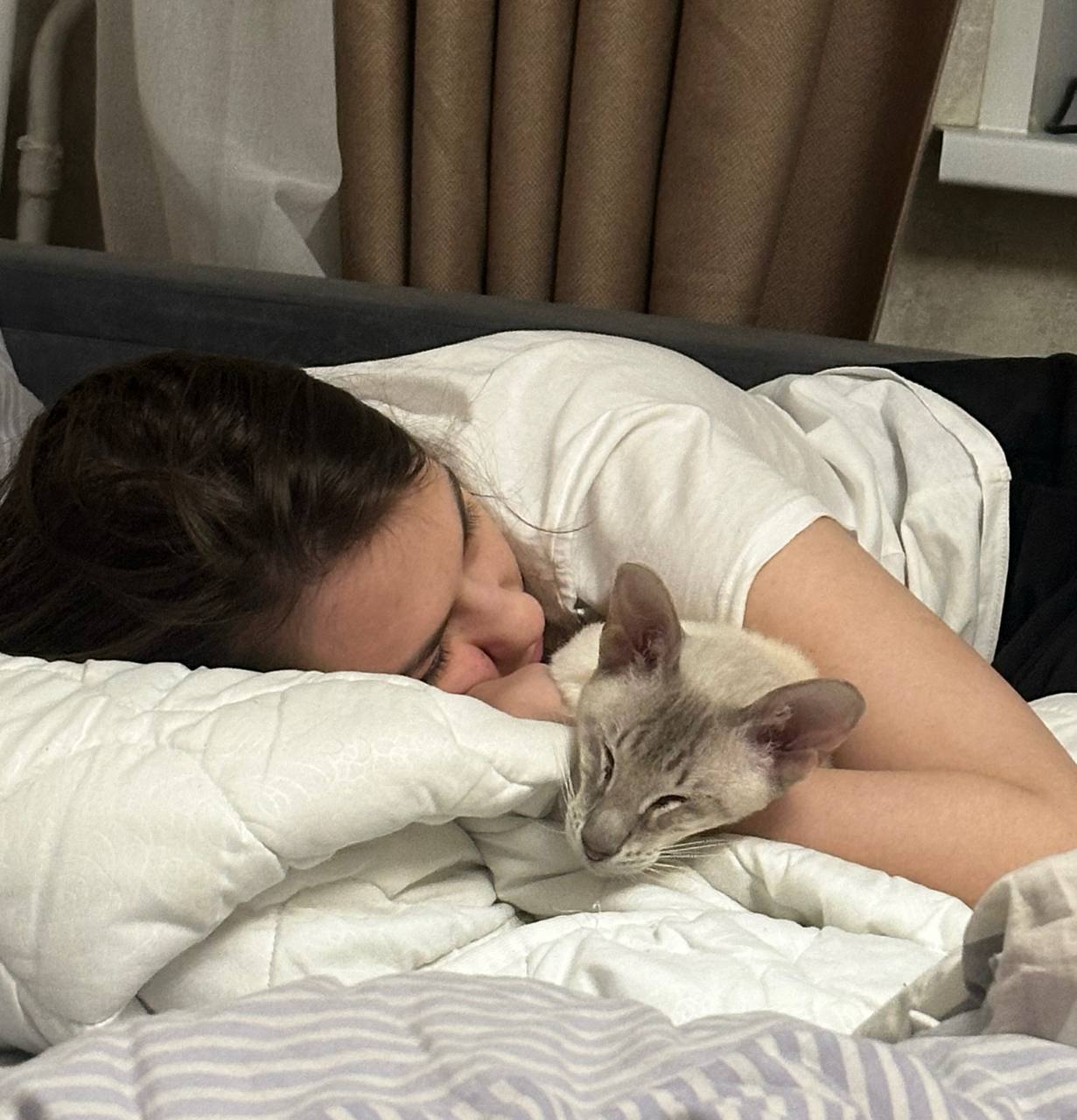 Компаньон 3