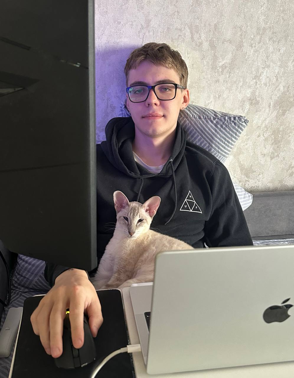 Разработчики